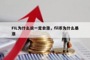 FIL为什么说一定会涨，fil币为什么暴涨