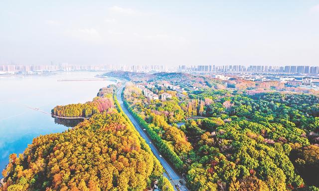 南湖大道 南湖大道茶山刘