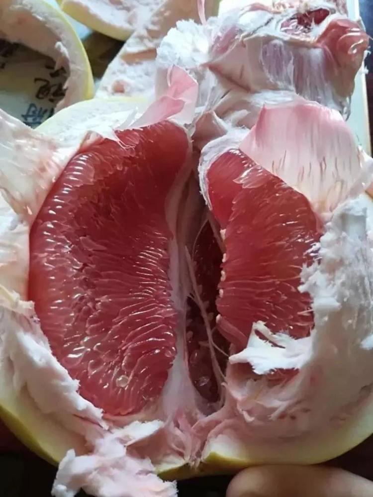 青密 清明节主题班会ppt 青密 清明节主题班会ppt