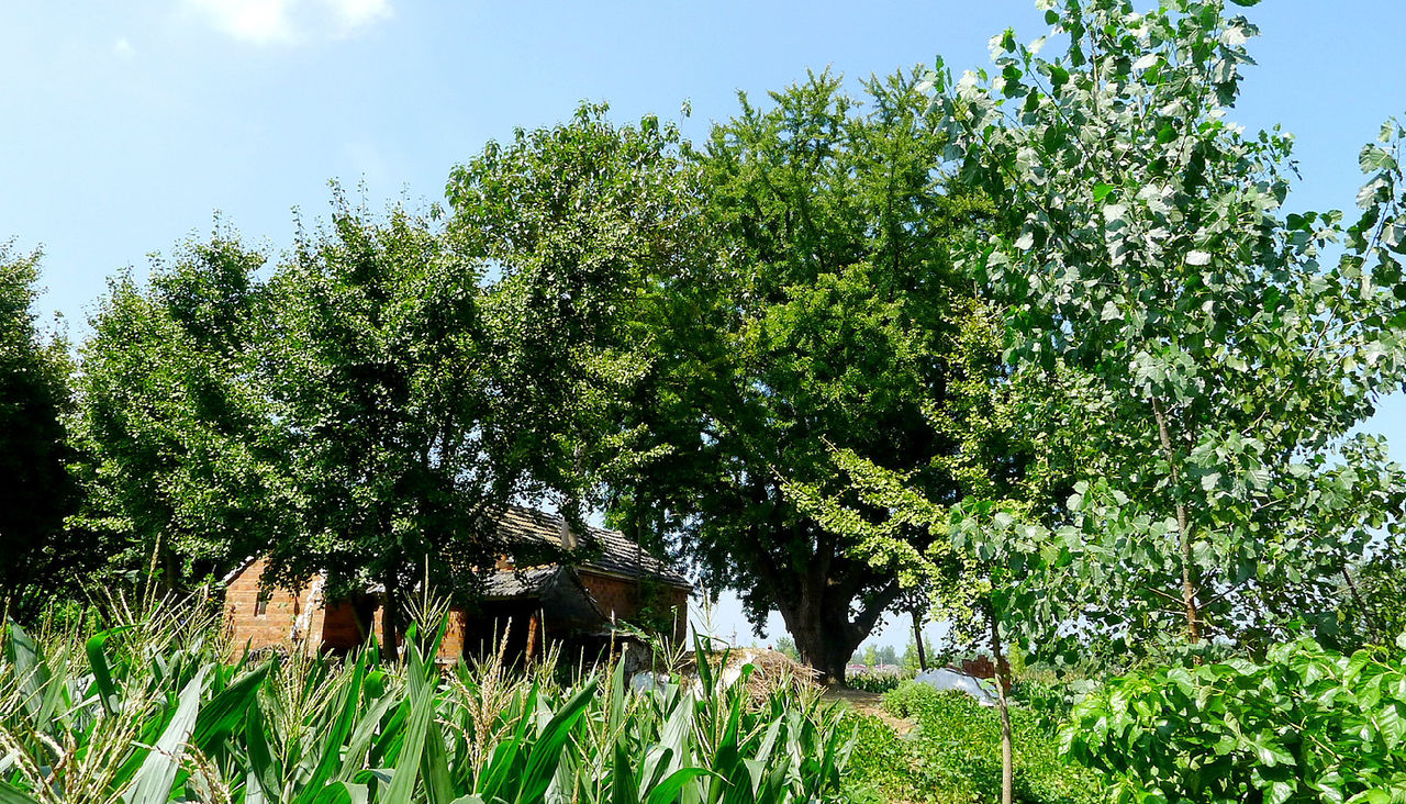 特庸镇 特庸镇卫生院电话 特庸镇 特庸镇卫生院电话